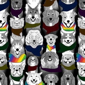 Large Highlighted Dog pride in rainbow bandanas