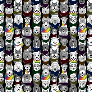 Highlighted Dog pride in rainbow bandanas