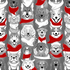 Large Dog pride in red and white bandanas