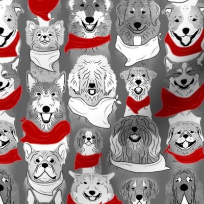 Dog pride in red and white bandanas