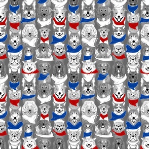 Dog pride in red white blue bandanas