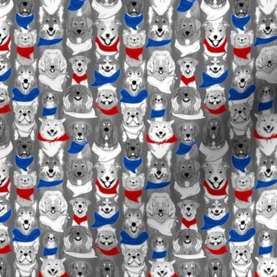 Small Dog pride in red white blue bandanas