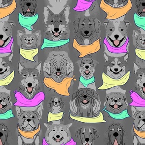 Large Dog pride in tropical pallet bandanas