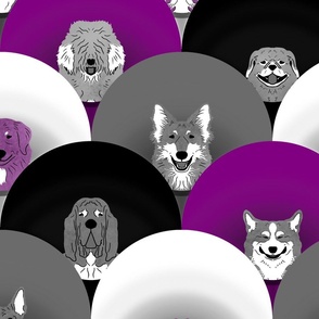 Large Dog pride in purple black white cones