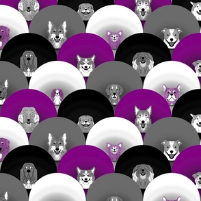 Dog pride in purple black white cones