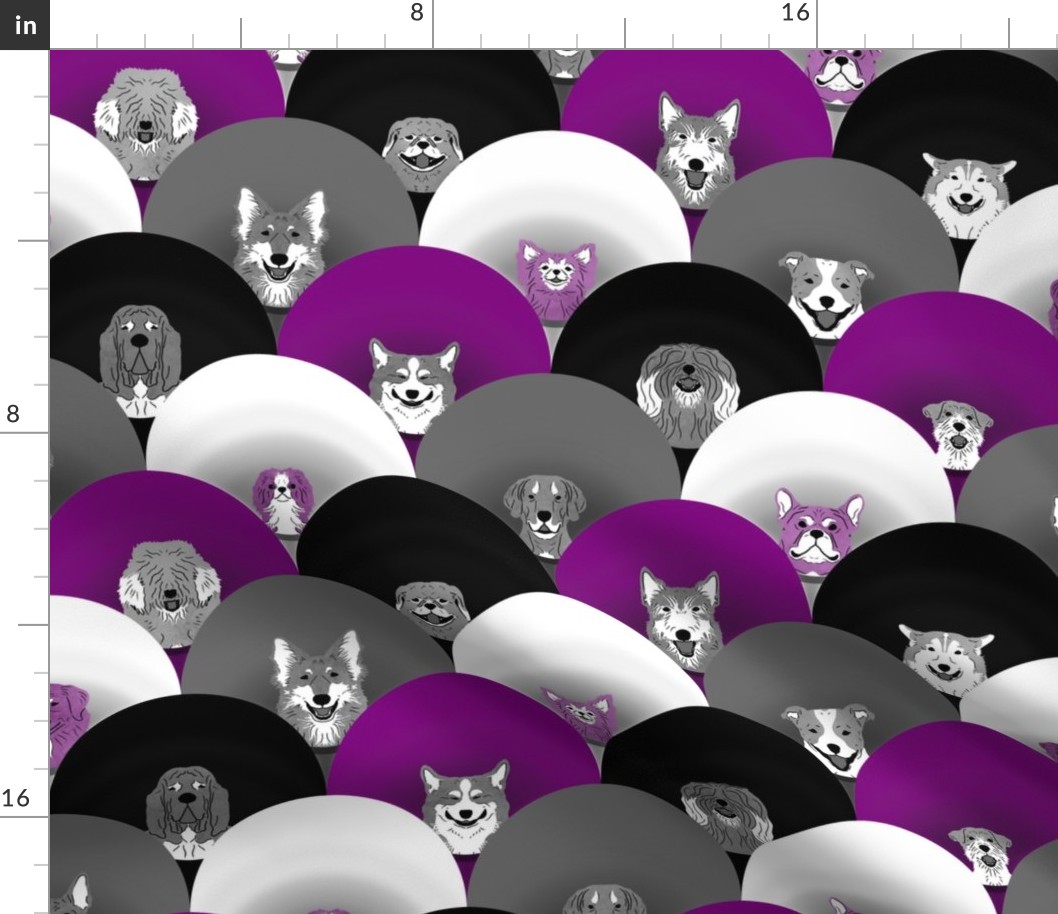 Dog pride in purple black white cones