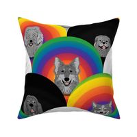 Large Dog pride in rainbow chevron cones