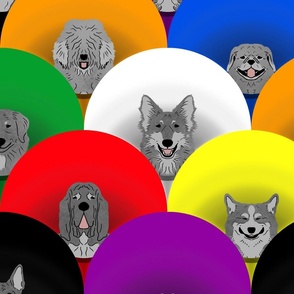 Large Dog pride in solid rainbow cones