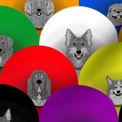 Dog pride in solid rainbow cones