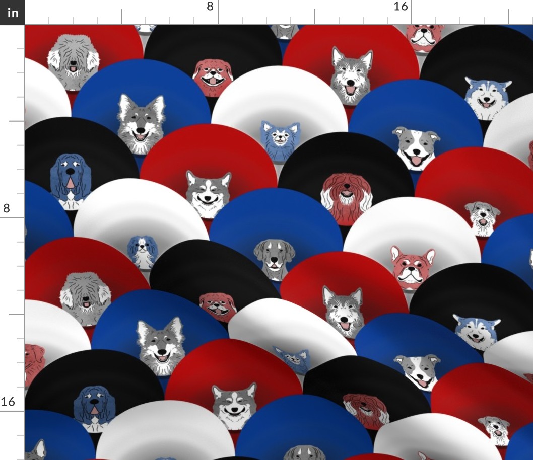 Dog pride in red white blue scattered cones