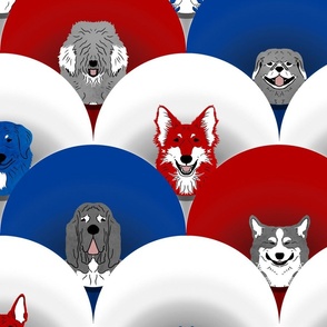 Large Dog pride in red white blue stripe cones