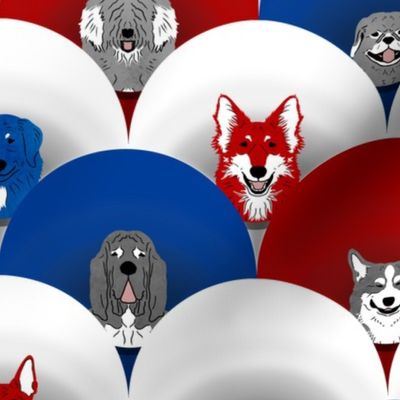 Dog pride in red white blue stripe cones