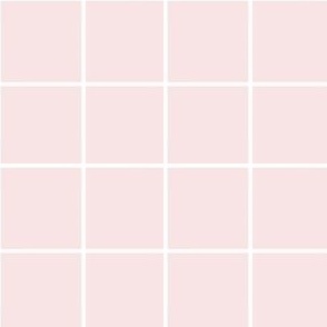 Pink Plaid / Window Pane