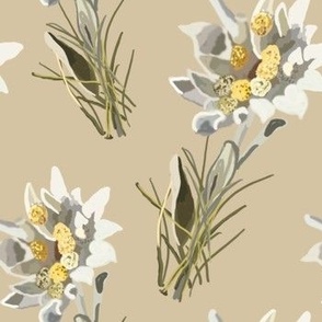 Edelweiss Floral