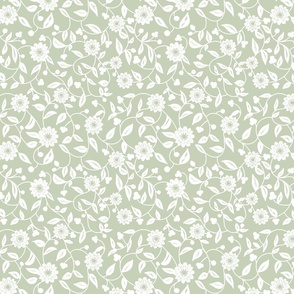 white  flowers on a pastel sage green background - small scale