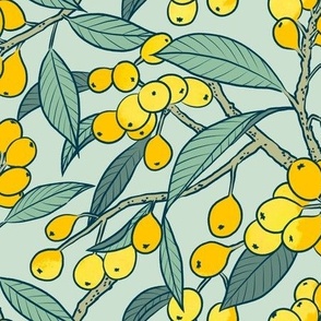 Loquat Harvest in light sage green, medium scale 