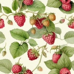 Raspberries