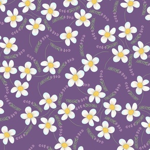 camomile and lavender flowers on purple by rysunki_malunki