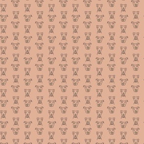 Small Dog Inspired Begging Faces Print in Peach Orange