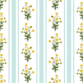 Floral  stripe and vertical stripe with yellow buttercups in eggshell green blue on white