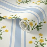 Floral stripe and soft blue vertical stripe with yellow buttercups