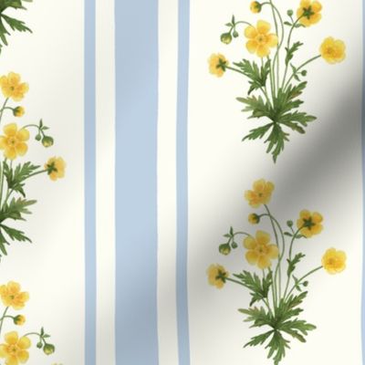 Floral stripe and soft blue vertical stripe with yellow buttercups