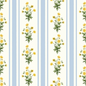 Floral  stripe and vertical stripe with yellow buttercups in fog light blue on natural white