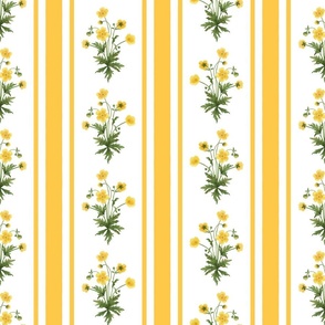 Floral  stripe and vertical stripe with yellow buttercups in golden yellow on white