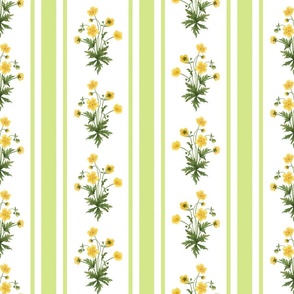 Floral  stripe and vertical stripe with yellow buttercups in light honeydew green on white