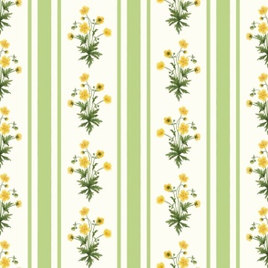 Floral  stripe and vertical stripe with yellow buttercups in lily green and on natural white