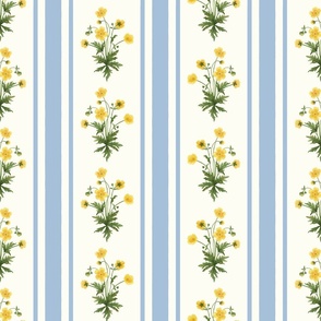 Floral  stripe and vertical stripe with yellow buttercups sky blue on natural white