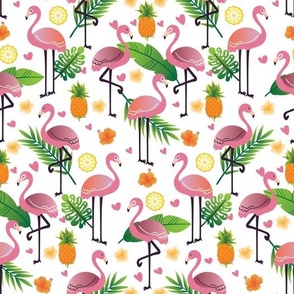 happy flamingo for summer