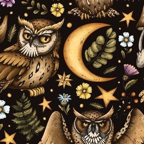Mystery Owls on Black