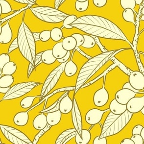 Loquat Harvest in yellow, medium scale 