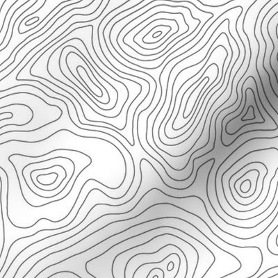 Mapping Contours, Ocean Depth Map, Map, Topographic, Lines, Black and White