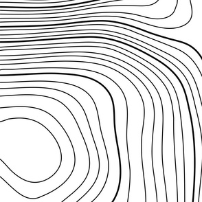 Mapping Contours, Ocean Depth Map, Map, Topographic, Lines, Black and White Stripes