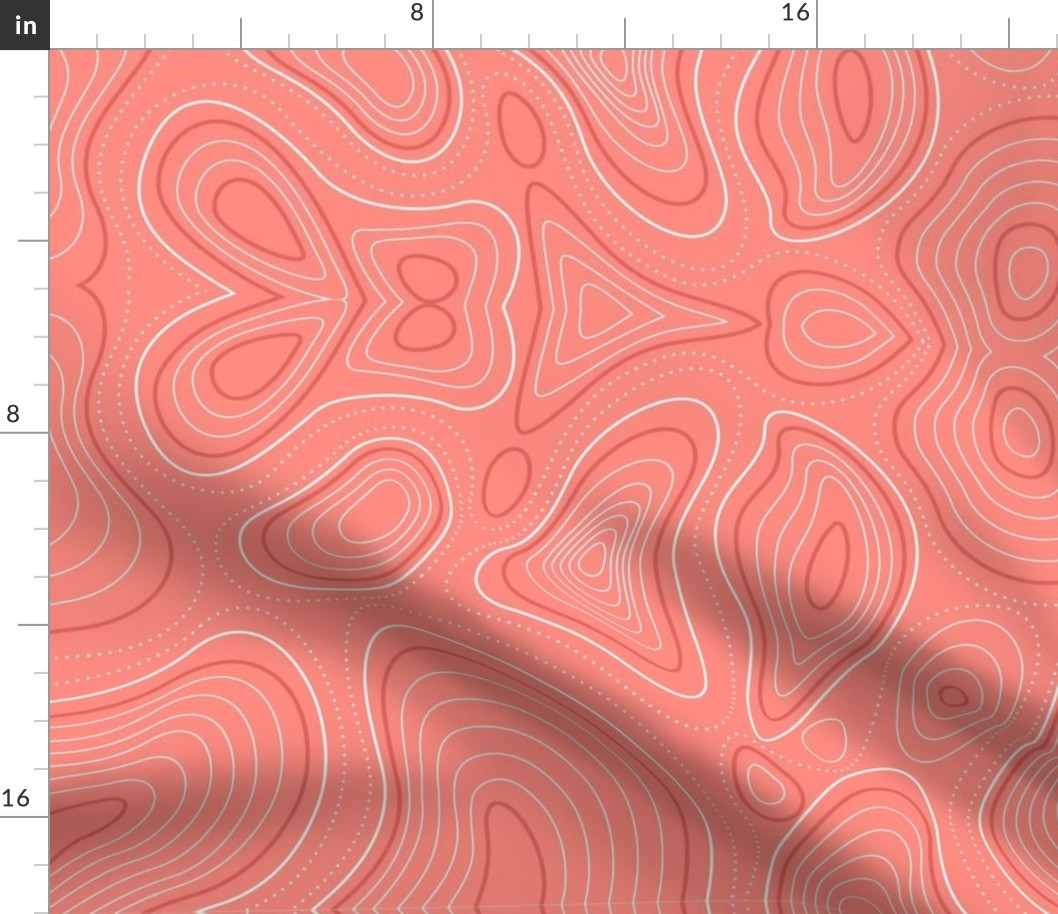 topographic map Mapping Contours, Ocean Depth Map, Map, Topographic, Coral Salmon