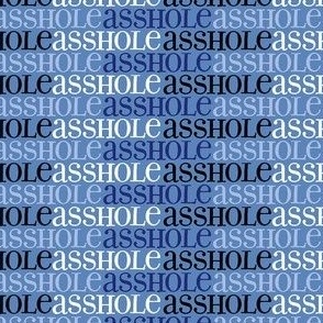 Asshole- Denim