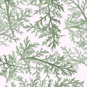 Watercolor Ferns Light Sage on Very Pale Pink