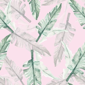 Palm Fronds on Pink - Wallpaper