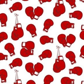 Boxing Gloves (Small)