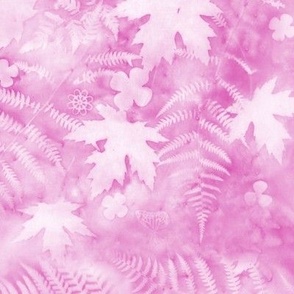 Large Shades of Medium Raspberry Pink Ferns and Maples Sunprints