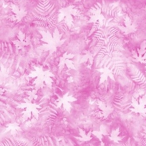 Medium Shades of Medium Raspberry Pink Ferns and Maples Sunprints