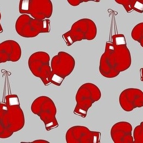 Boxing Gloves (Medium)