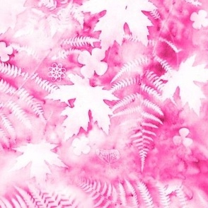 Large Shades of Hot Pink and White Ferns and Maples Sunprints