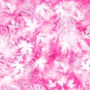 Medium Shades of Hot Pink and White Ferns and Maples Sunprints