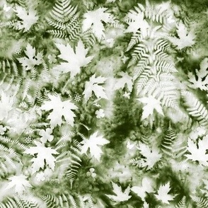 Medium Shades of Dark Moss Green and White Ferns and Maples Sunprints