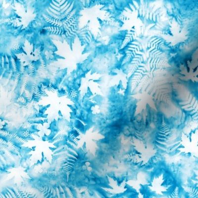 Medium Shades of Cerulean Blue and White Ferns and Maples Sunprints