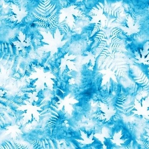 Medium Shades of Cerulean Blue and White Ferns and Maples Sunprints