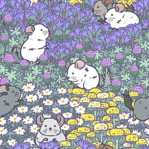 Chinchillas meadow in teal green background, medium scale 